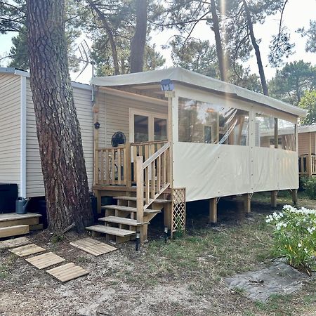 La Cabane Des Pins Lege-Cap-Ferret Ngoại thất bức ảnh