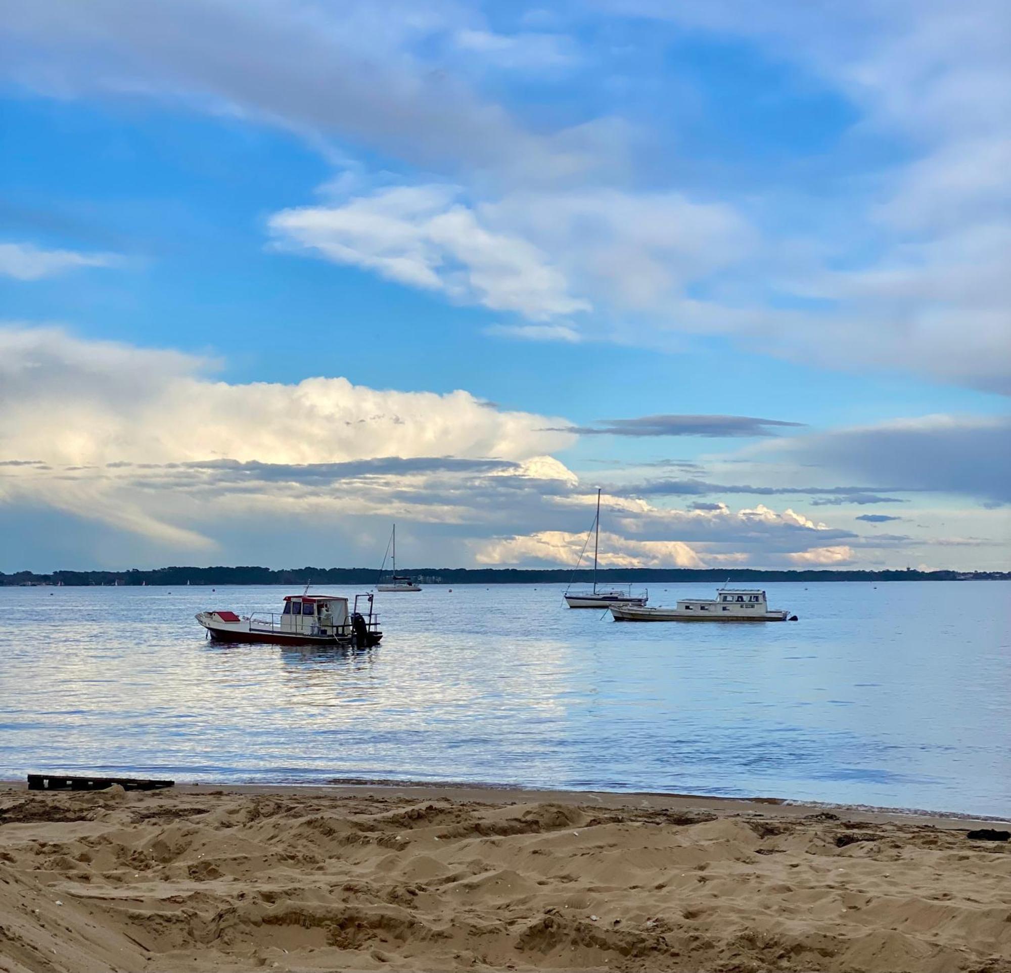La Cabane Des Pins Lege-Cap-Ferret Ngoại thất bức ảnh