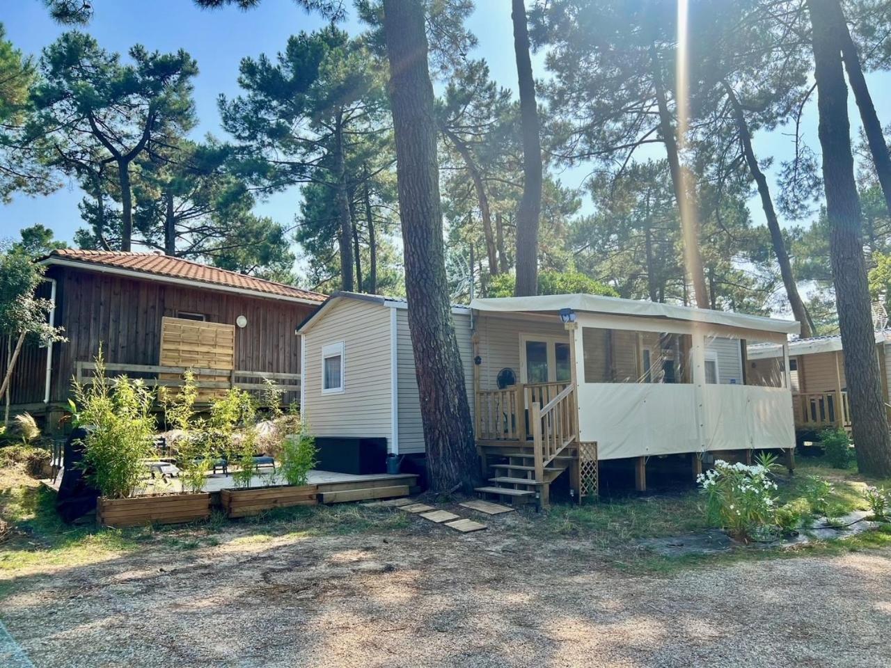 La Cabane Des Pins Lege-Cap-Ferret Ngoại thất bức ảnh