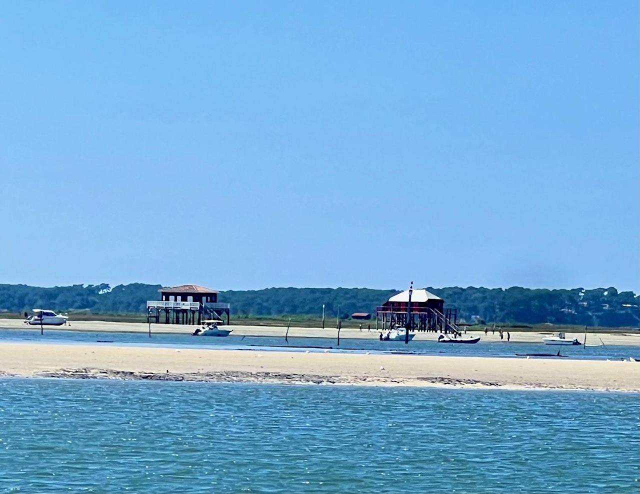 La Cabane Des Pins Lege-Cap-Ferret Ngoại thất bức ảnh